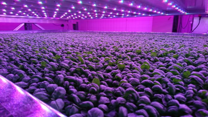ospraie-ag-science-Intelligent Growth Solutions Raises an Additional 1.6M for Its Automated Vertical Farm Solution